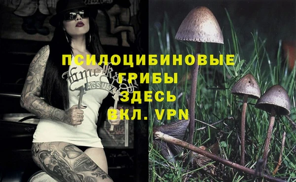 твердый Абинск