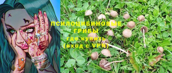 ПСИЛОЦИБИНОВЫЕ ГРИБЫ Абаза