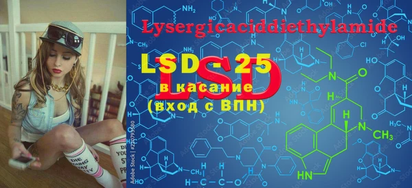 ПСИЛОЦИБИНОВЫЕ ГРИБЫ Абаза