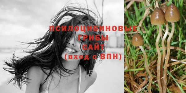 кокс Абдулино