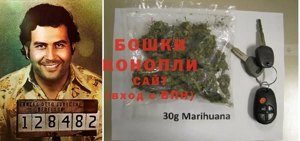 ПСИЛОЦИБИНОВЫЕ ГРИБЫ Абаза